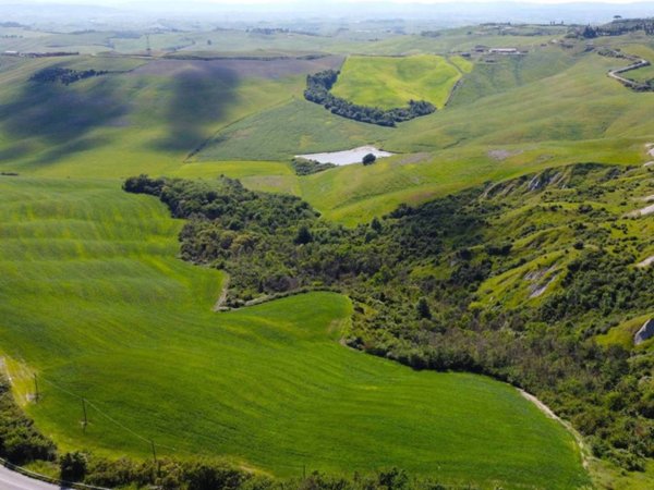 terreno agricolo in vendita ad Asciano
