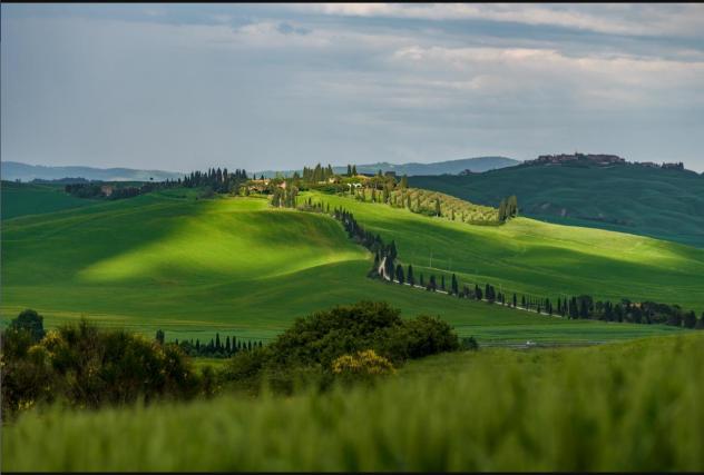 negozio in vendita a Buonconvento