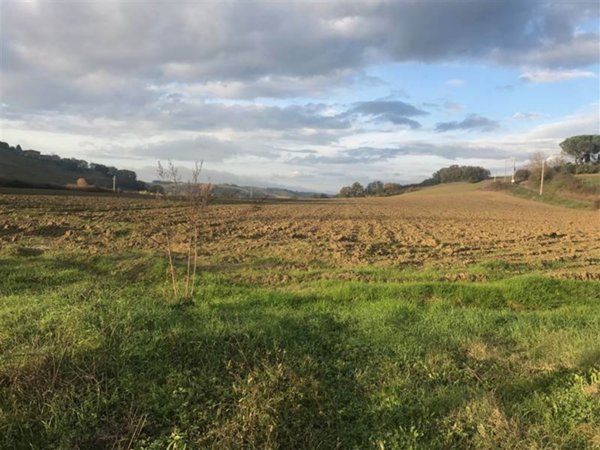 terreno agricolo in vendita a Buonconvento