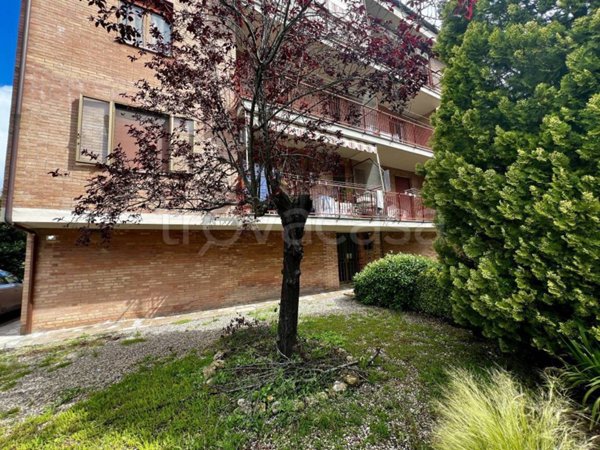 appartamento in vendita a Buonconvento