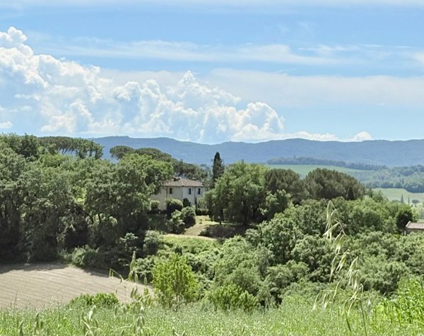 casa indipendente in vendita a Buonconvento
