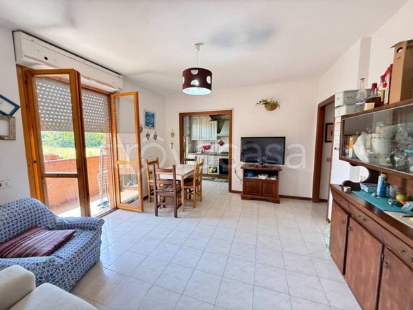 appartamento in vendita a Buonconvento in zona Percenna