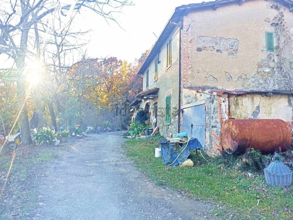 esavano in vendita a Casole d'Elsa
