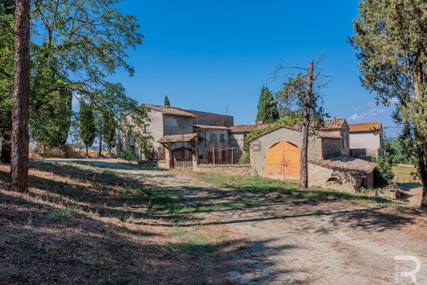 esavano in vendita a Casole d'Elsa
