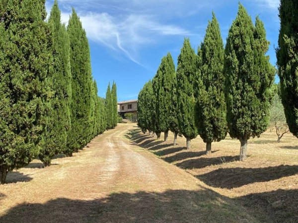 casa indipendente in vendita a Casole d'Elsa