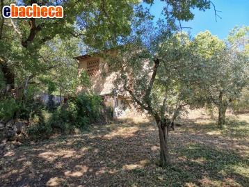 appartamento in vendita a Casole d'Elsa