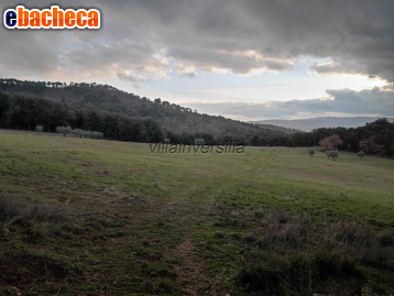 appartamento in vendita a Casole d'Elsa