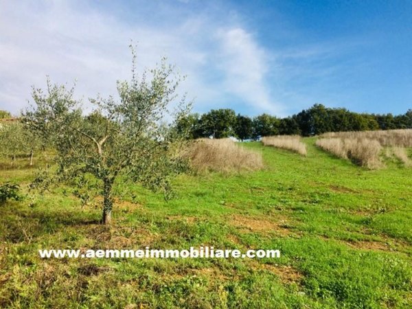 terreno edificabile in vendita a Casole d'Elsa