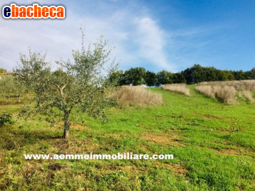 casa indipendente in vendita a Casole d'Elsa