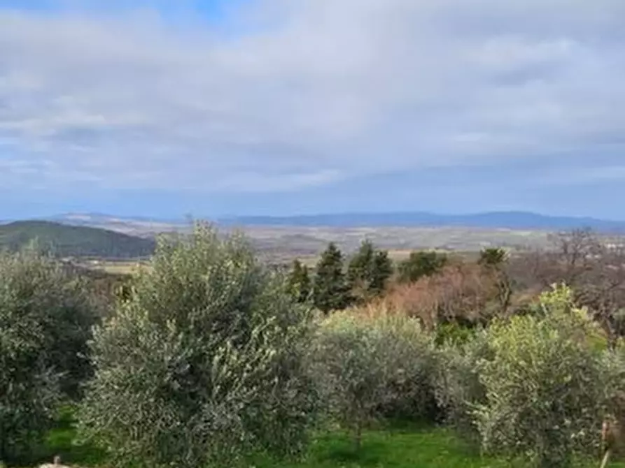 terreno agricolo in vendita a Casole d'Elsa