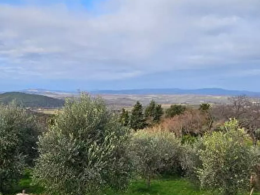 terreno agricolo in vendita a Casole d'Elsa