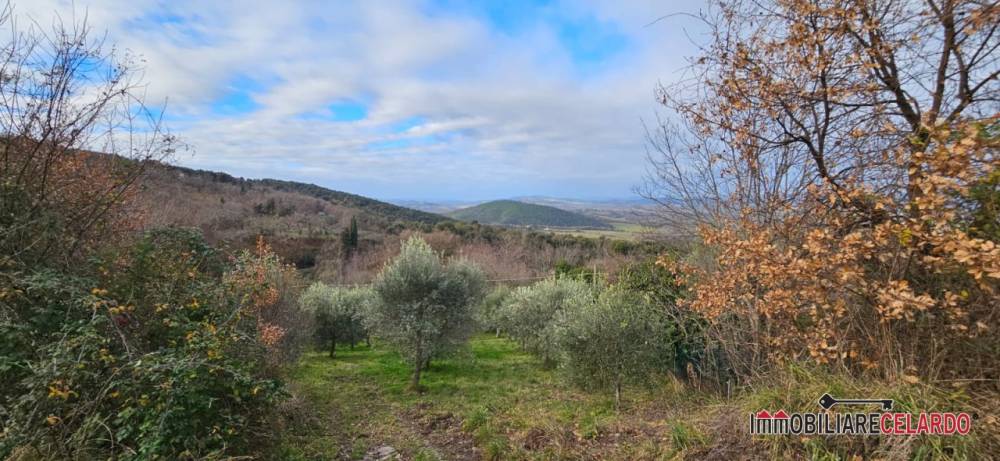 ufficio in vendita a Casole d'Elsa