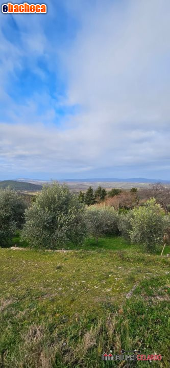 terreno agricolo in vendita a Casole d'Elsa