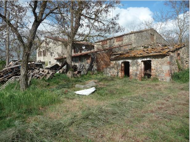 negozio in vendita a Casole d'Elsa