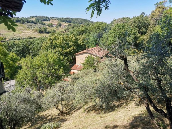 casa indipendente in vendita a Casole d'Elsa
