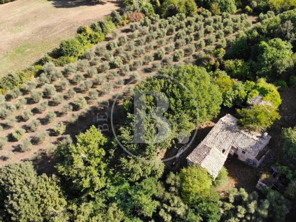 casa indipendente in vendita a Casole d'Elsa