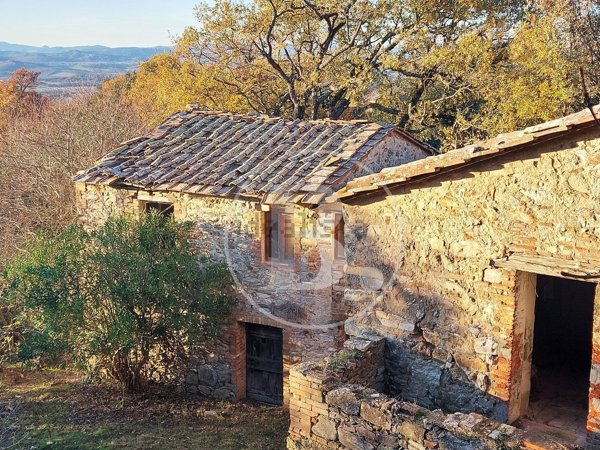 casale in vendita a Casole d'Elsa