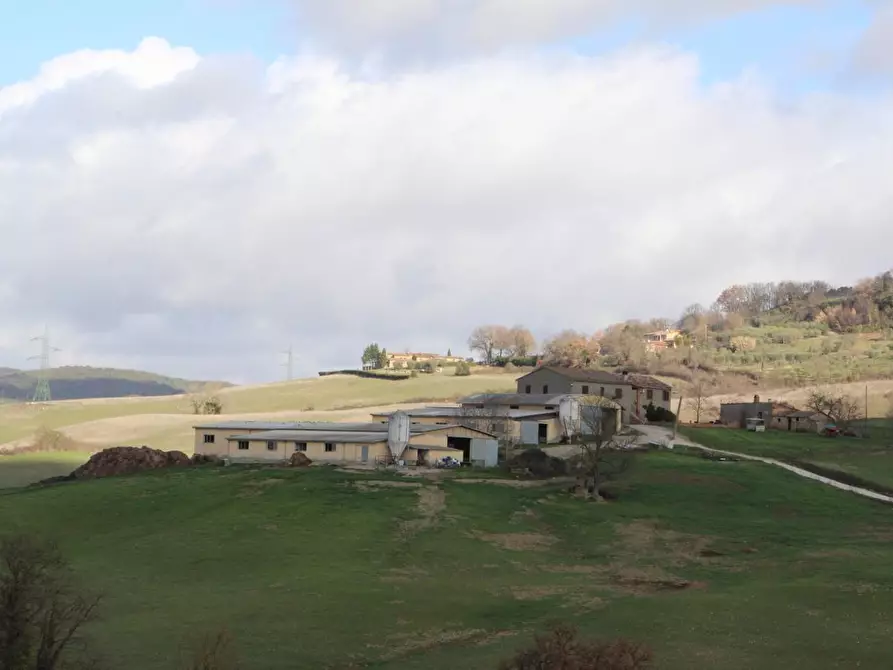 azienda agricola in vendita a Casole d'Elsa