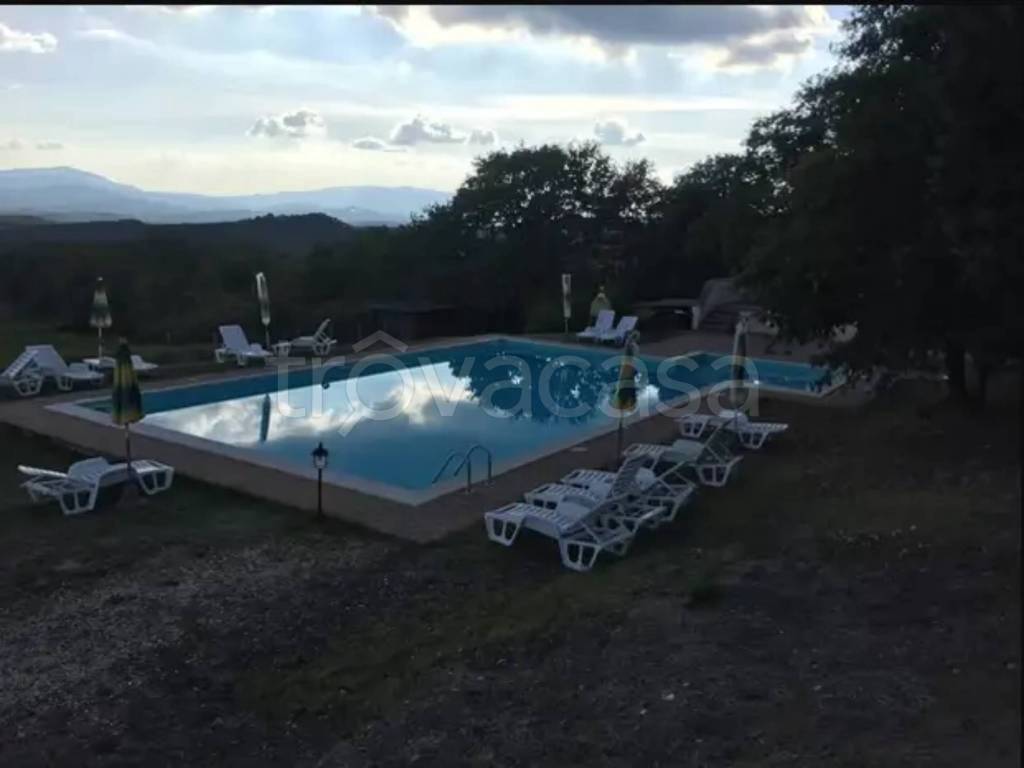 appartamento in vendita a Casole d'Elsa