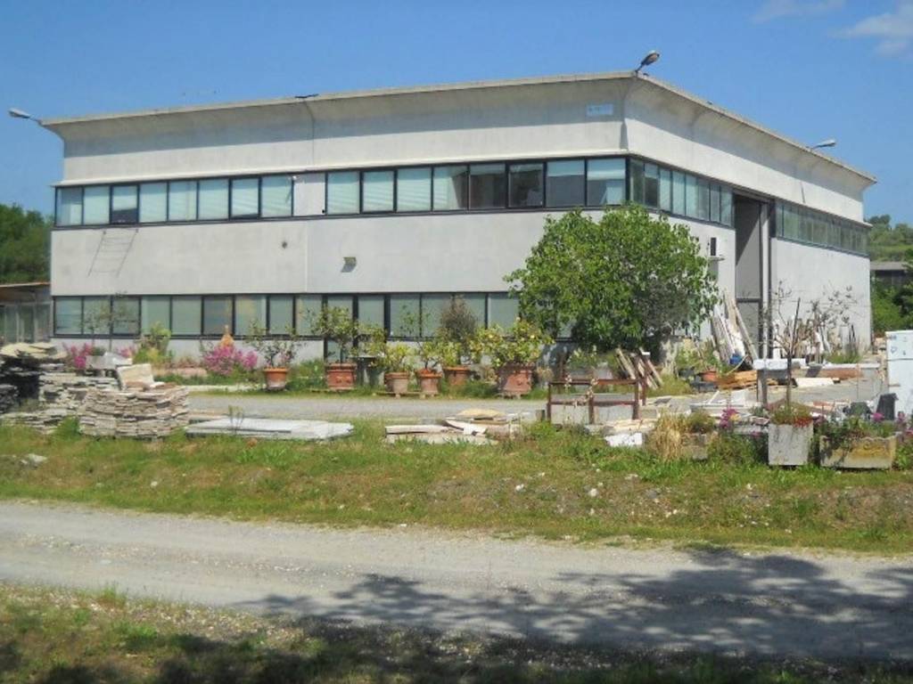 locale commerciale in vendita a Casole d'Elsa