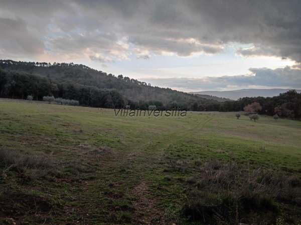 casa indipendente in vendita a Casole d'Elsa