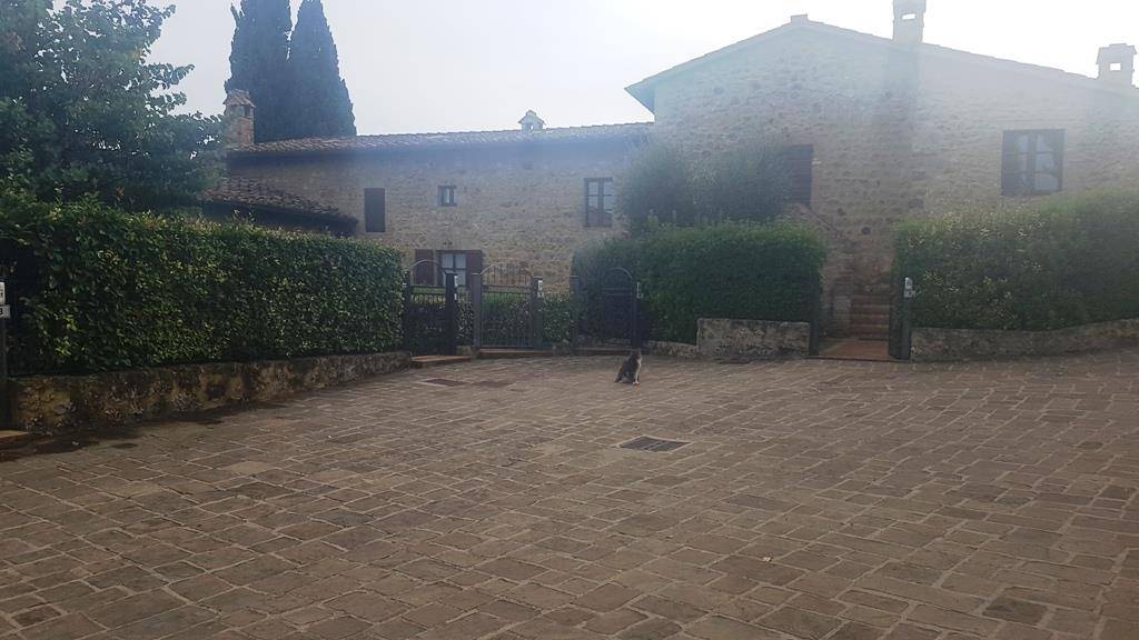 casa indipendente in vendita a Casole d'Elsa