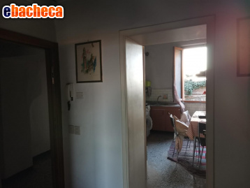 appartamento in vendita a Casole d'Elsa