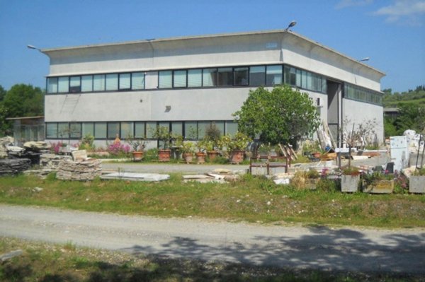 capannone in vendita a Casole d'Elsa