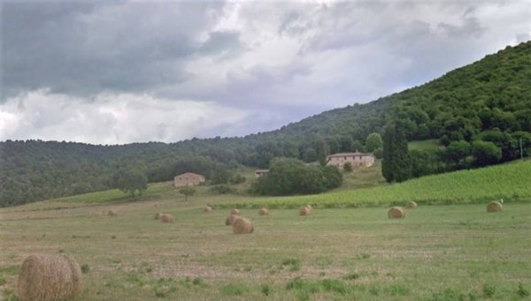 azienda agricola in vendita a Casole d'Elsa
