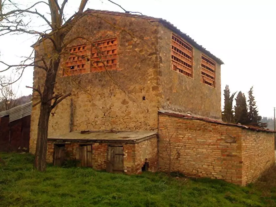 pentavano in vendita a Casole d'Elsa