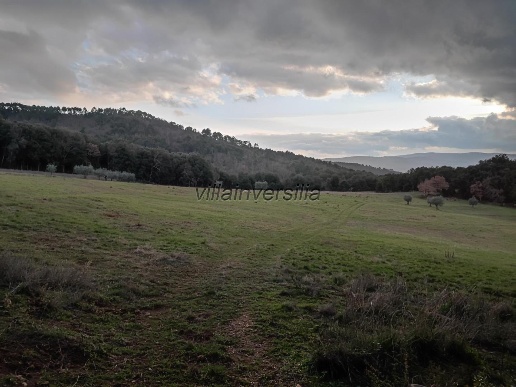 casa indipendente in vendita a Casole d'Elsa