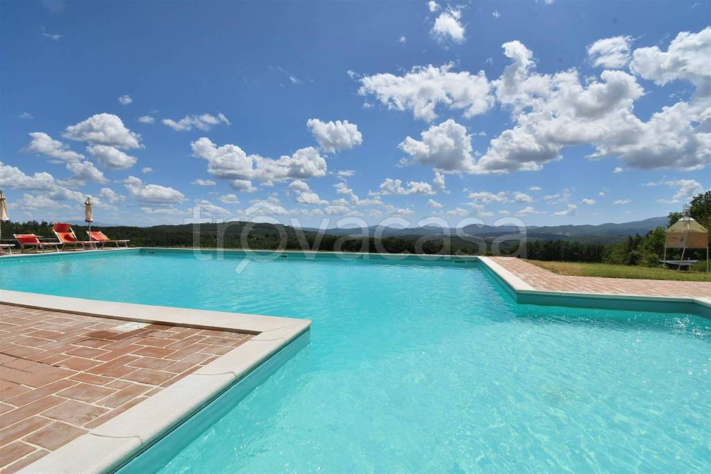 appartamento in vendita a Casole d'Elsa