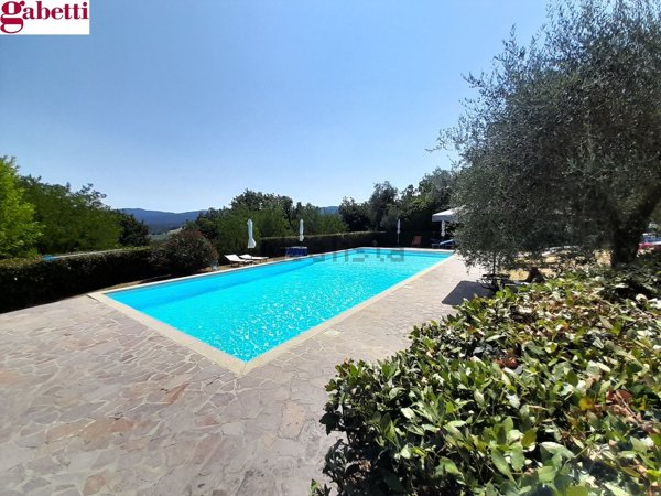 appartamento in vendita a Casole d'Elsa