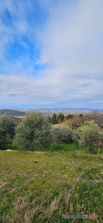terreno agricolo in vendita a Casole d'Elsa