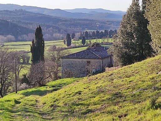 casa indipendente in vendita a Casole d'Elsa