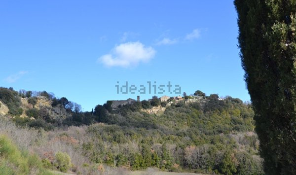 pentavano in vendita a Casole d'Elsa