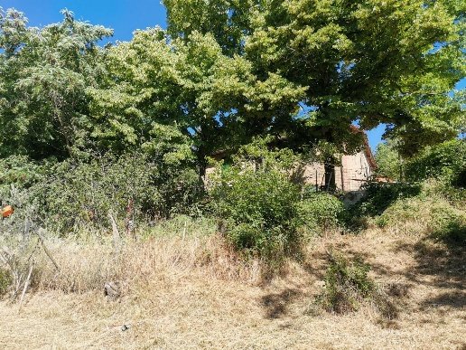 casa indipendente in vendita a Casole d'Elsa