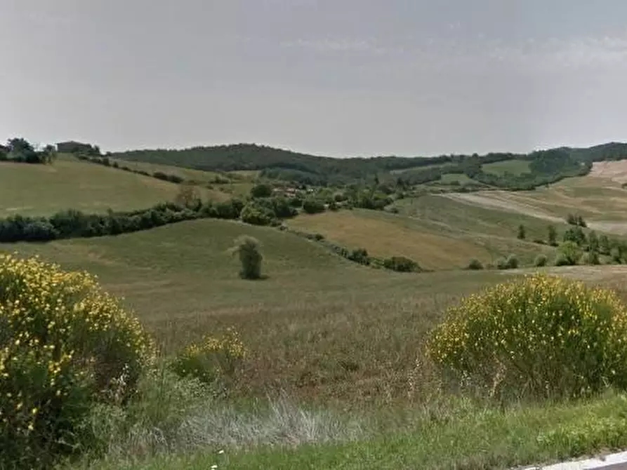 terreno agricolo in vendita a Casole d'Elsa