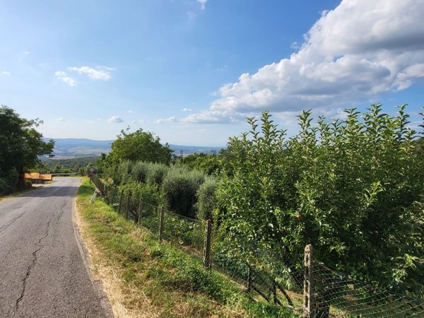 appartamento in vendita a Casole d'Elsa