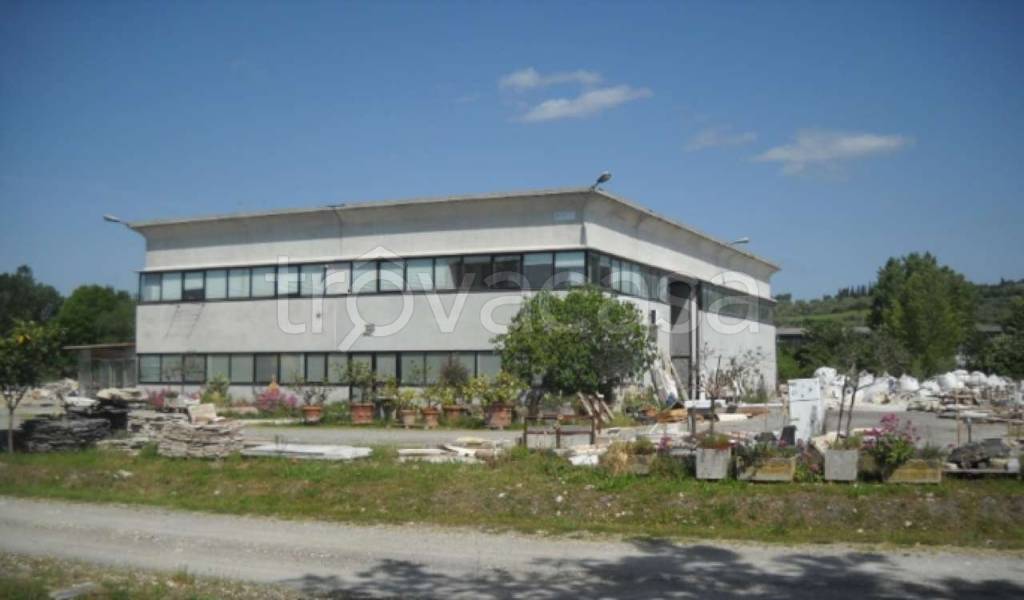 locale commerciale in vendita a Casole d'Elsa