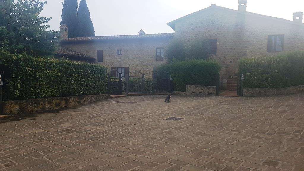 appartamento in vendita a Casole d'Elsa