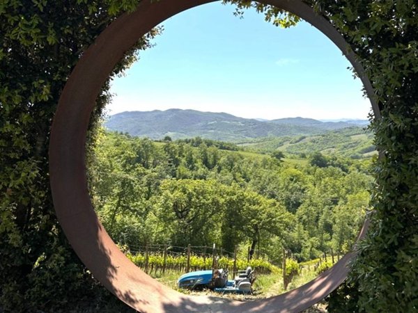 casa indipendente in vendita a Casole d'Elsa