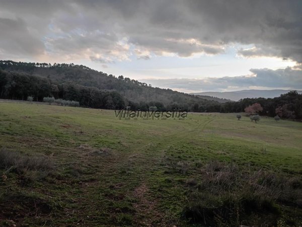 casale in vendita a Casole d'Elsa