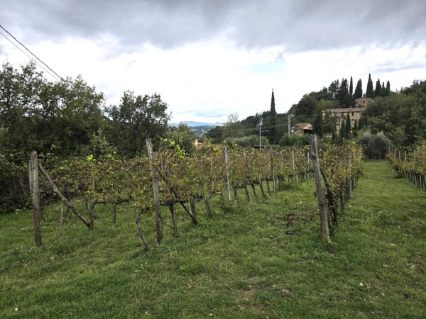 casa indipendente in vendita a Casole d'Elsa