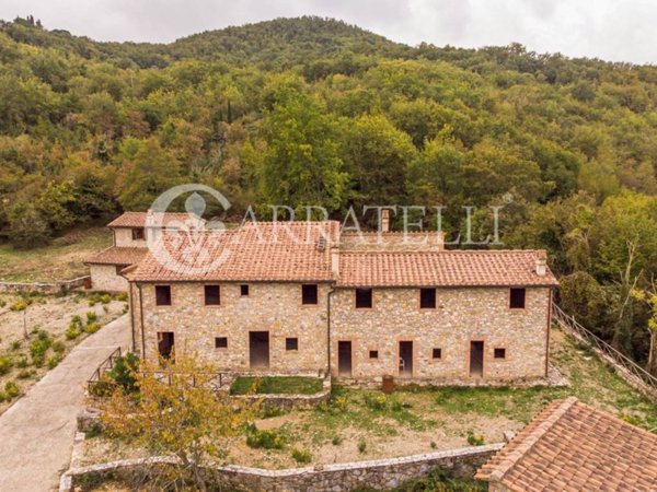 casa indipendente in vendita a Castellina in Chianti