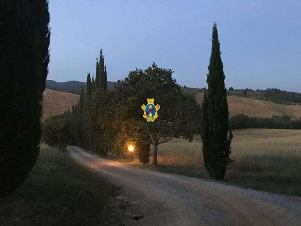 esavano in vendita a Castellina in Chianti