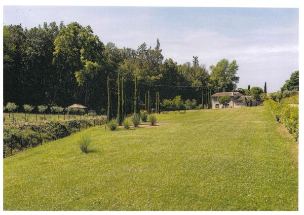 pentavano in vendita a Castellina in Chianti