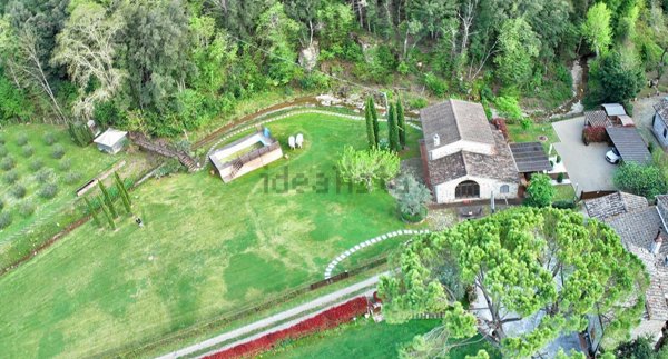 pentavano in vendita a Castellina in Chianti