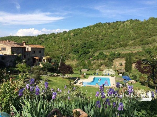 casa indipendente in vendita a Castellina in Chianti