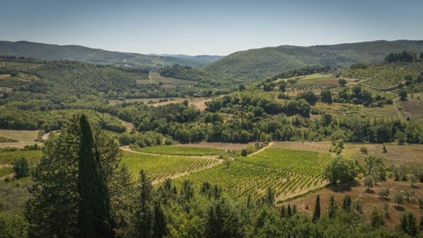 casale in vendita a Castellina in Chianti in zona Piazza